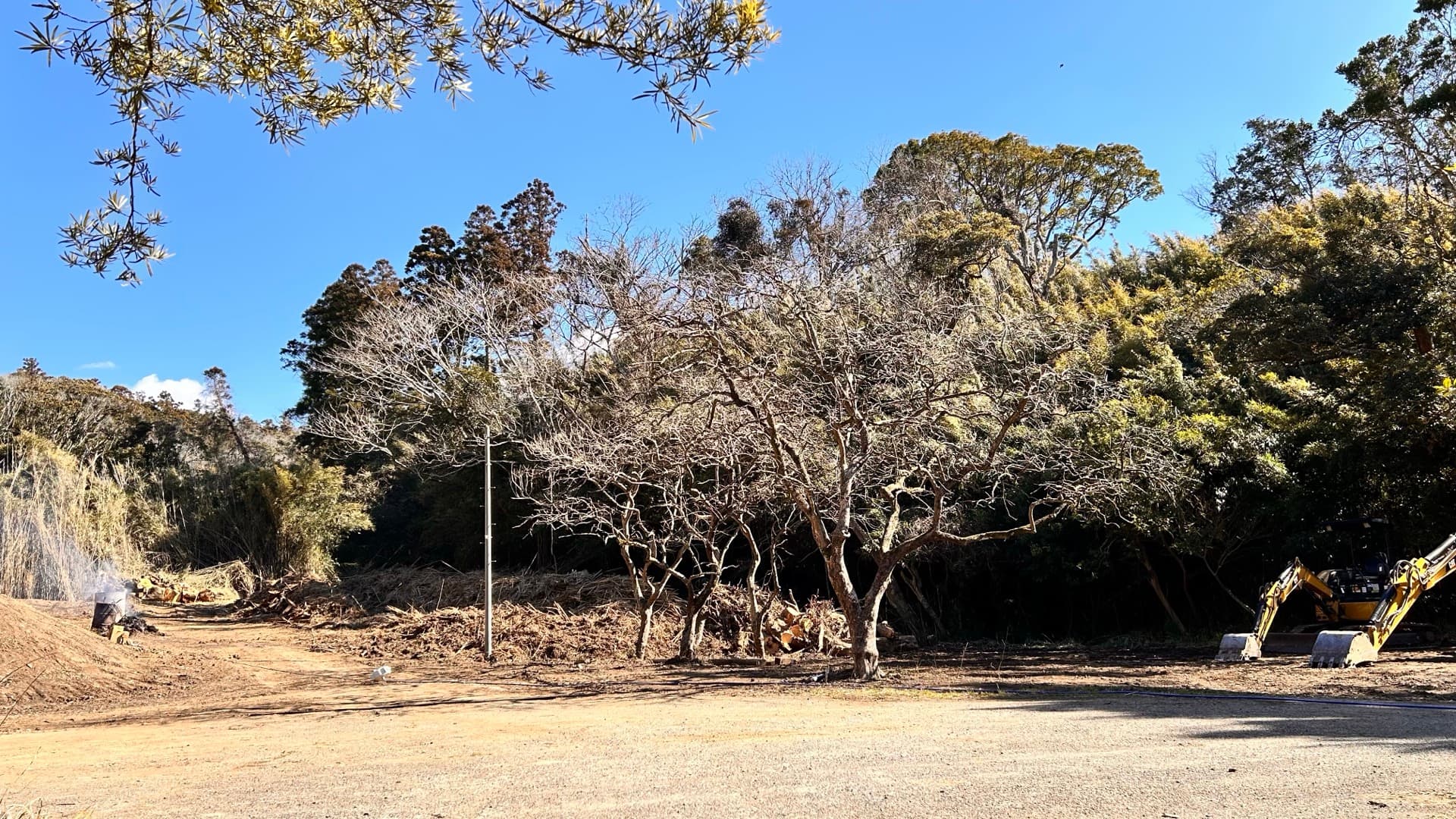 フリーサイト全景