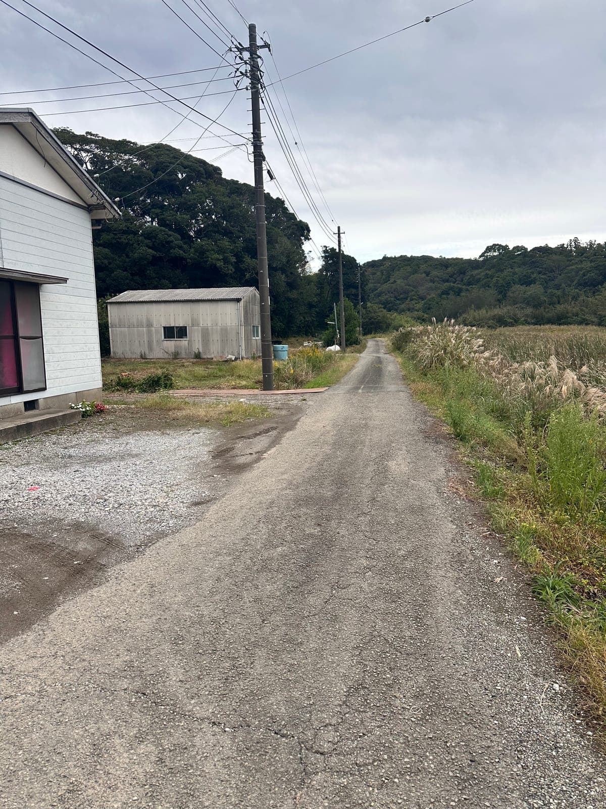 場内へ続く道。道幅が狭いため、対向車にご注意ください